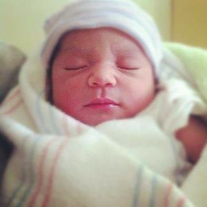 Meet your Posher, Hector